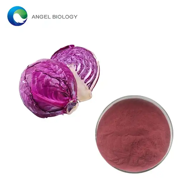 Where to Buy Organic Kale Extract Powder: A Complete Guide to Quality Kale Powder Supplements